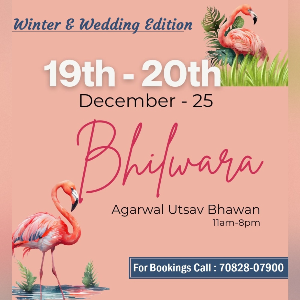 Winter & Wedding Edition